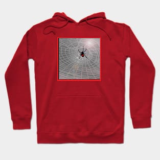 Black Widow Spider on the Web Hoodie